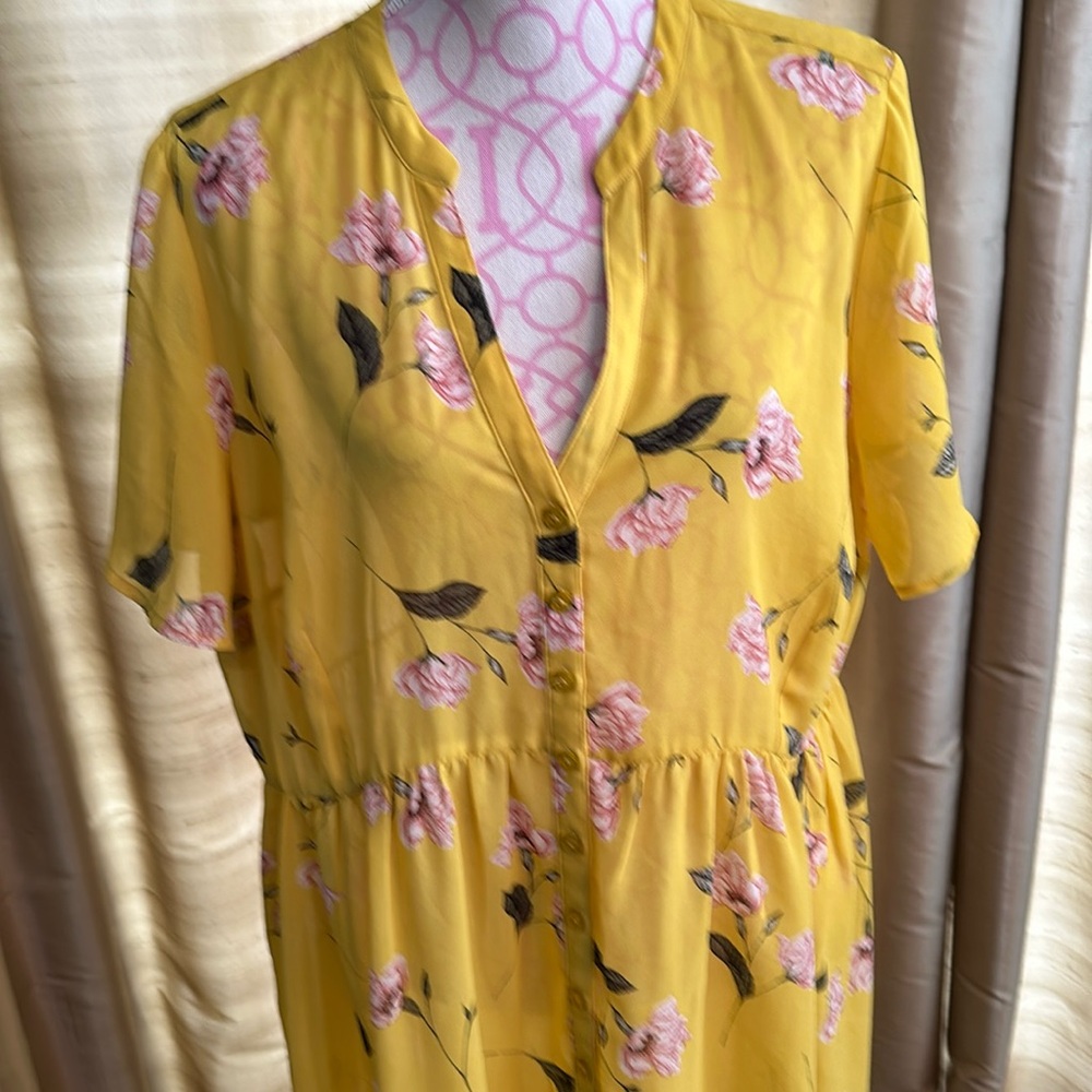 Adorable, torrid size 2 high, low sheer, top button-down, short sleeve floral